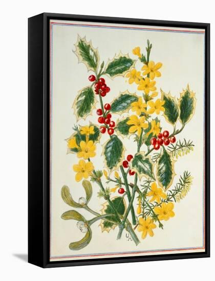 Holly, Winter Jasmine, Heath and Mistletoe-Ursula Hodgson-Framed Stretched Canvas