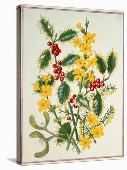 Holly, Winter Jasmine, Heath and Mistletoe-Ursula Hodgson-Stretched Canvas