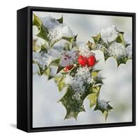 Holly with Frosted Berries-null-Framed Stretched Canvas