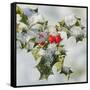 Holly with Frosted Berries-null-Framed Stretched Canvas