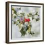 Holly with Frosted Berries-null-Framed Photographic Print