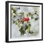 Holly with Frosted Berries-null-Framed Photographic Print