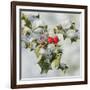 Holly with Frosted Berries-null-Framed Photographic Print