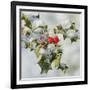 Holly with Frosted Berries-null-Framed Photographic Print