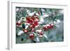 Holly-Dr^ Keith-Framed Premium Photographic Print