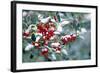 Holly-Dr^ Keith-Framed Premium Photographic Print