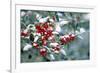 Holly-Dr^ Keith-Framed Photographic Print