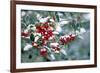 Holly-Dr^ Keith-Framed Photographic Print