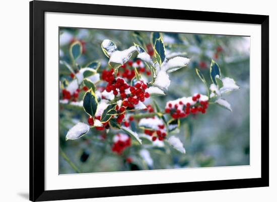 Holly-Dr^ Keith-Framed Photographic Print