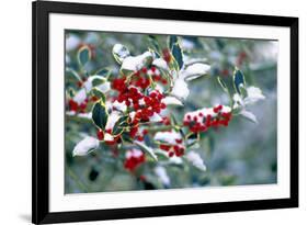 Holly-Dr^ Keith-Framed Photographic Print