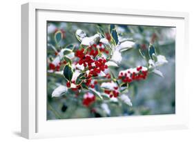 Holly-Dr^ Keith-Framed Photographic Print