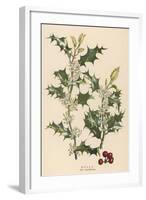 Holly-null-Framed Art Print