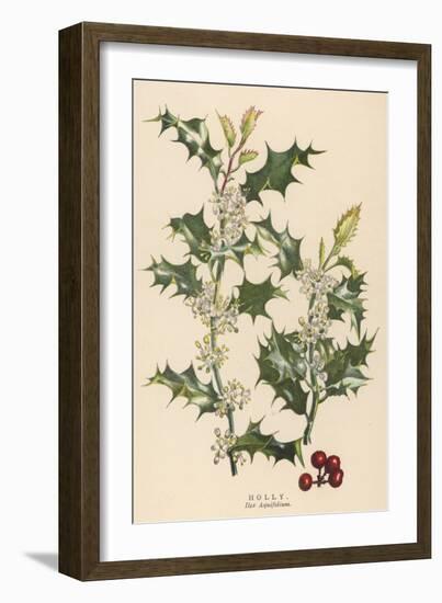 Holly-null-Framed Art Print