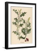 Holly-null-Framed Art Print