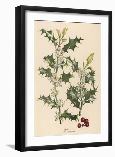 Holly-null-Framed Art Print