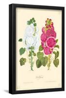 Hollyhock Flowers-null-Framed Poster