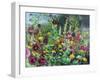 Hollyhock Garden, 2021 (oil on canvas)-Sylvia Paul-Framed Giclee Print