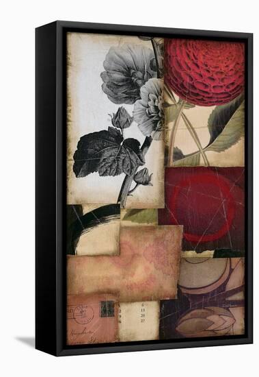 Hollyhock Story 1-DeRosier-Framed Stretched Canvas