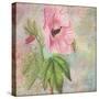 Hollyhock-Cora Niele-Stretched Canvas