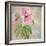 Hollyhock-Cora Niele-Framed Giclee Print