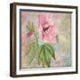 Hollyhock-Cora Niele-Framed Giclee Print