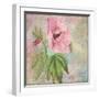 Hollyhock-Cora Niele-Framed Giclee Print