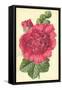 Hollyhock-Frederick Edward Hulme-Framed Stretched Canvas