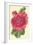 Hollyhock-Frederick Edward Hulme-Framed Giclee Print