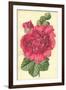 Hollyhock-Frederick Edward Hulme-Framed Giclee Print