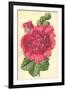 Hollyhock-Frederick Edward Hulme-Framed Giclee Print