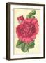 Hollyhock-Frederick Edward Hulme-Framed Giclee Print