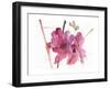 Hollyhocks, 1988-Claudia Hutchins-Puechavy-Framed Giclee Print