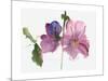 Hollyhocks, 1988-Claudia Hutchins-Puechavy-Mounted Giclee Print