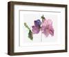 Hollyhocks, 1988-Claudia Hutchins-Puechavy-Framed Giclee Print