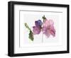 Hollyhocks, 1988-Claudia Hutchins-Puechavy-Framed Giclee Print