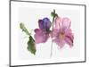 Hollyhocks, 1988-Claudia Hutchins-Puechavy-Mounted Giclee Print