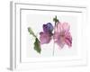 Hollyhocks, 1988-Claudia Hutchins-Puechavy-Framed Giclee Print