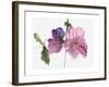 Hollyhocks, 1988-Claudia Hutchins-Puechavy-Framed Giclee Print