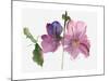 Hollyhocks, 1988-Claudia Hutchins-Puechavy-Mounted Giclee Print