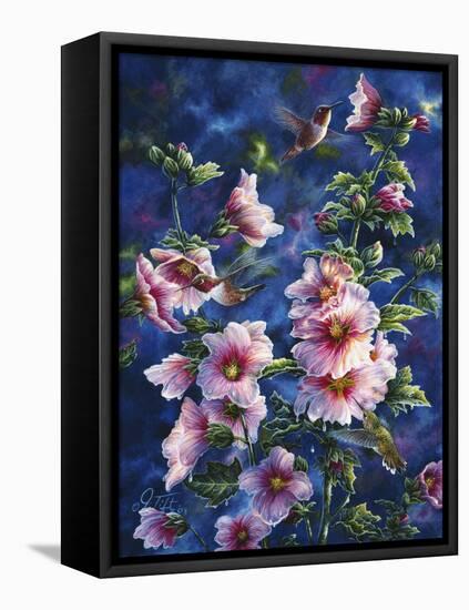 Hollyhocks and Hummingbirds-Jeff Tift-Framed Stretched Canvas