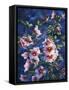 Hollyhocks and Hummingbirds-Jeff Tift-Framed Stretched Canvas