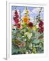 Hollyhocks and Sunflowers, 2005-Christopher Ryland-Framed Giclee Print