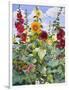 Hollyhocks and Sunflowers, 2005-Christopher Ryland-Framed Giclee Print