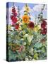 Hollyhocks and Sunflowers, 2005-Christopher Ryland-Stretched Canvas