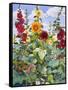 Hollyhocks and Sunflowers, 2005-Christopher Ryland-Framed Stretched Canvas