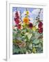 Hollyhocks and Sunflowers, 2005-Christopher Ryland-Framed Giclee Print