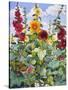 Hollyhocks and Sunflowers, 2005-Christopher Ryland-Stretched Canvas