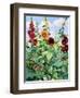 Hollyhocks and Sunflowers-Christopher Ryland-Framed Giclee Print