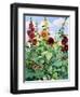 Hollyhocks and Sunflowers-Christopher Ryland-Framed Giclee Print