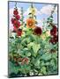 Hollyhocks and Sunflowers-Christopher Ryland-Mounted Giclee Print
